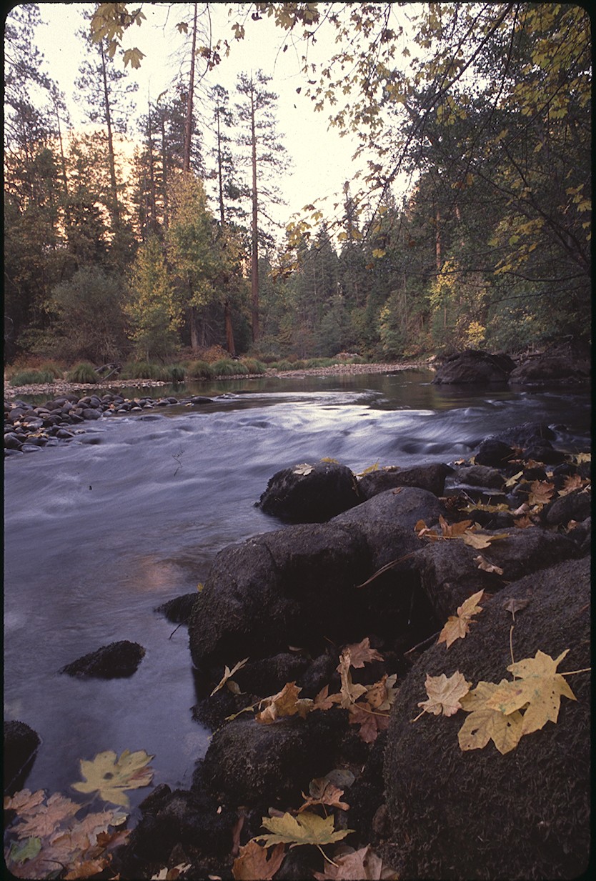 Bring Your Own Boat: Paddling the Merced River Through Yosemite Valley