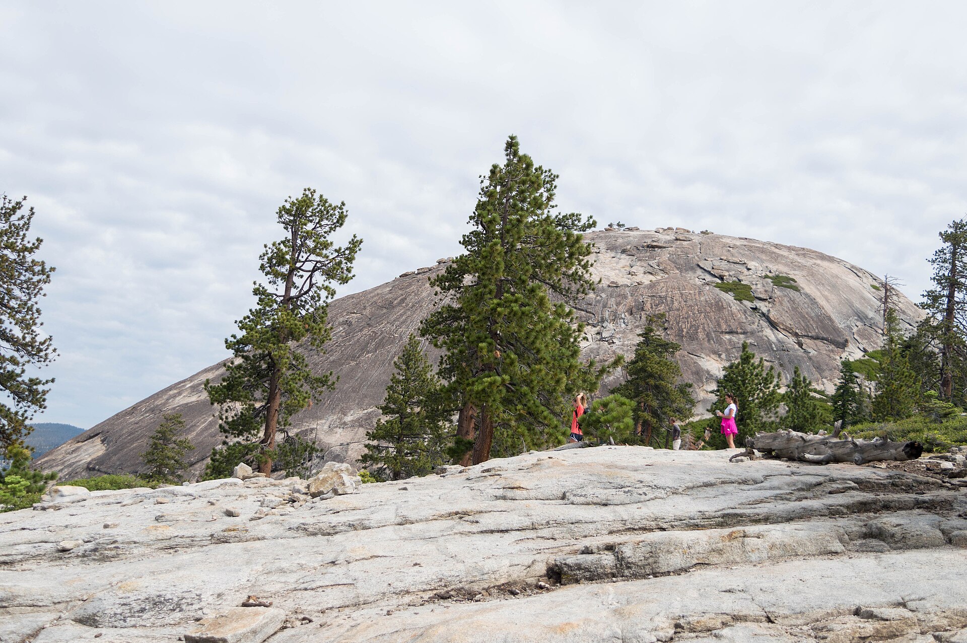 From the Valley to Sentinel Dome: A Short Hike with a Giant View