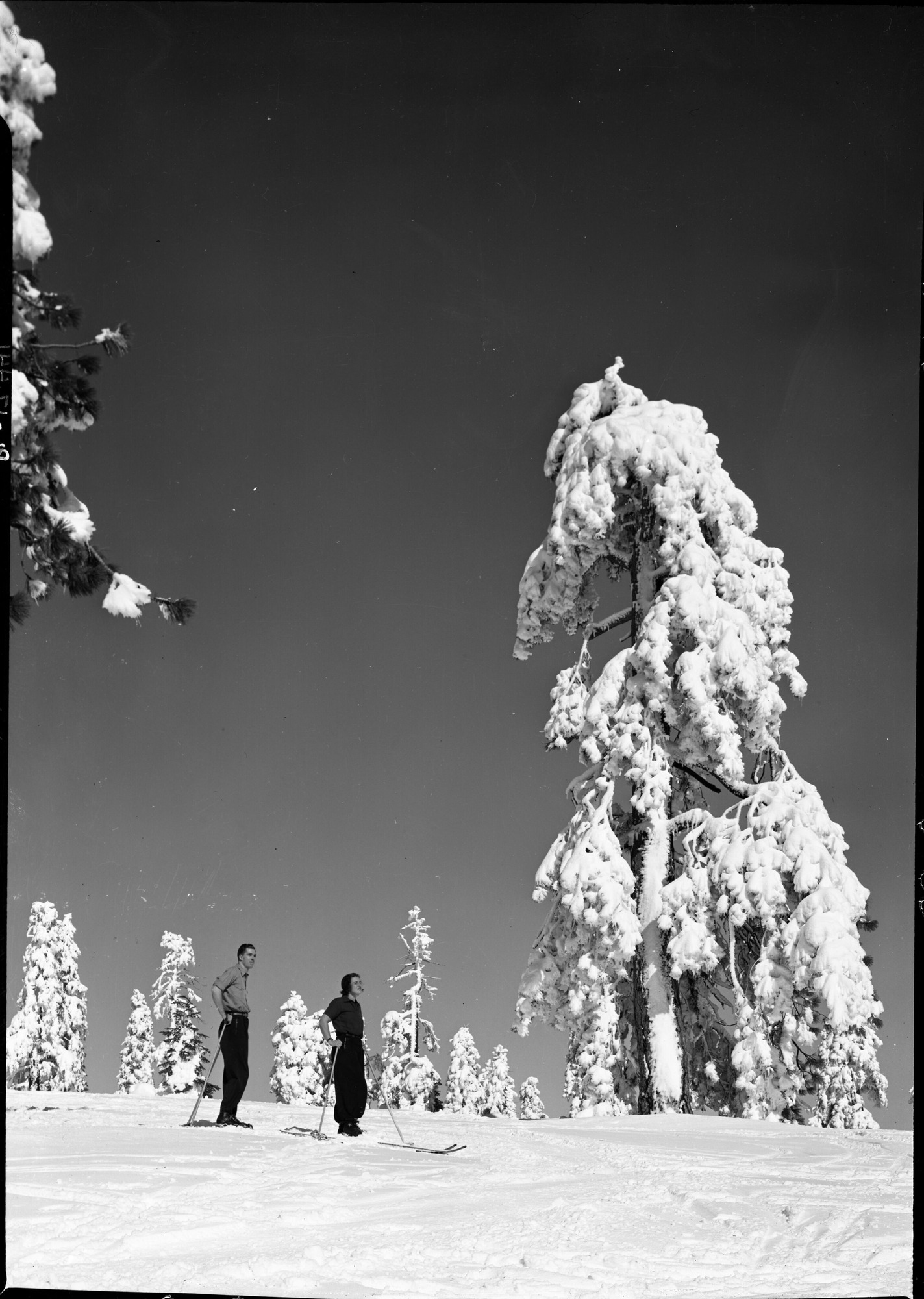 Historic black-and-white photo of skiers on the snowy slopes at Badger Pass